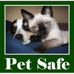 Pet Safe Carpet Cleaning