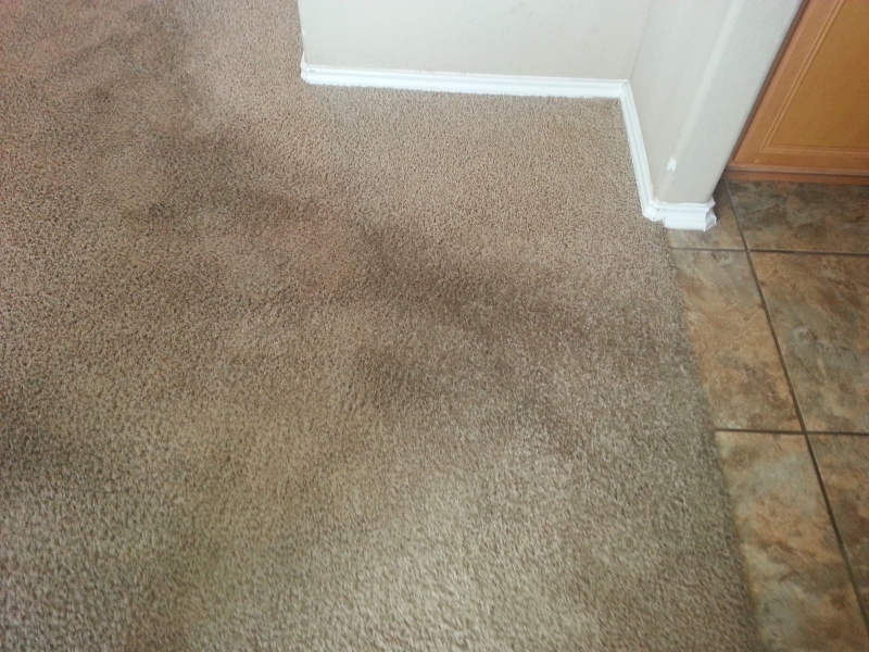 best carpet cleaning experts