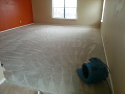 carpet cleaners san antonio