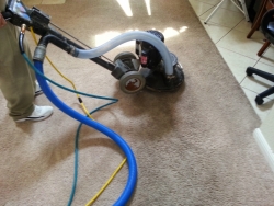 carpet cleaning