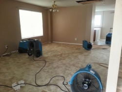 residential carpet cleaning