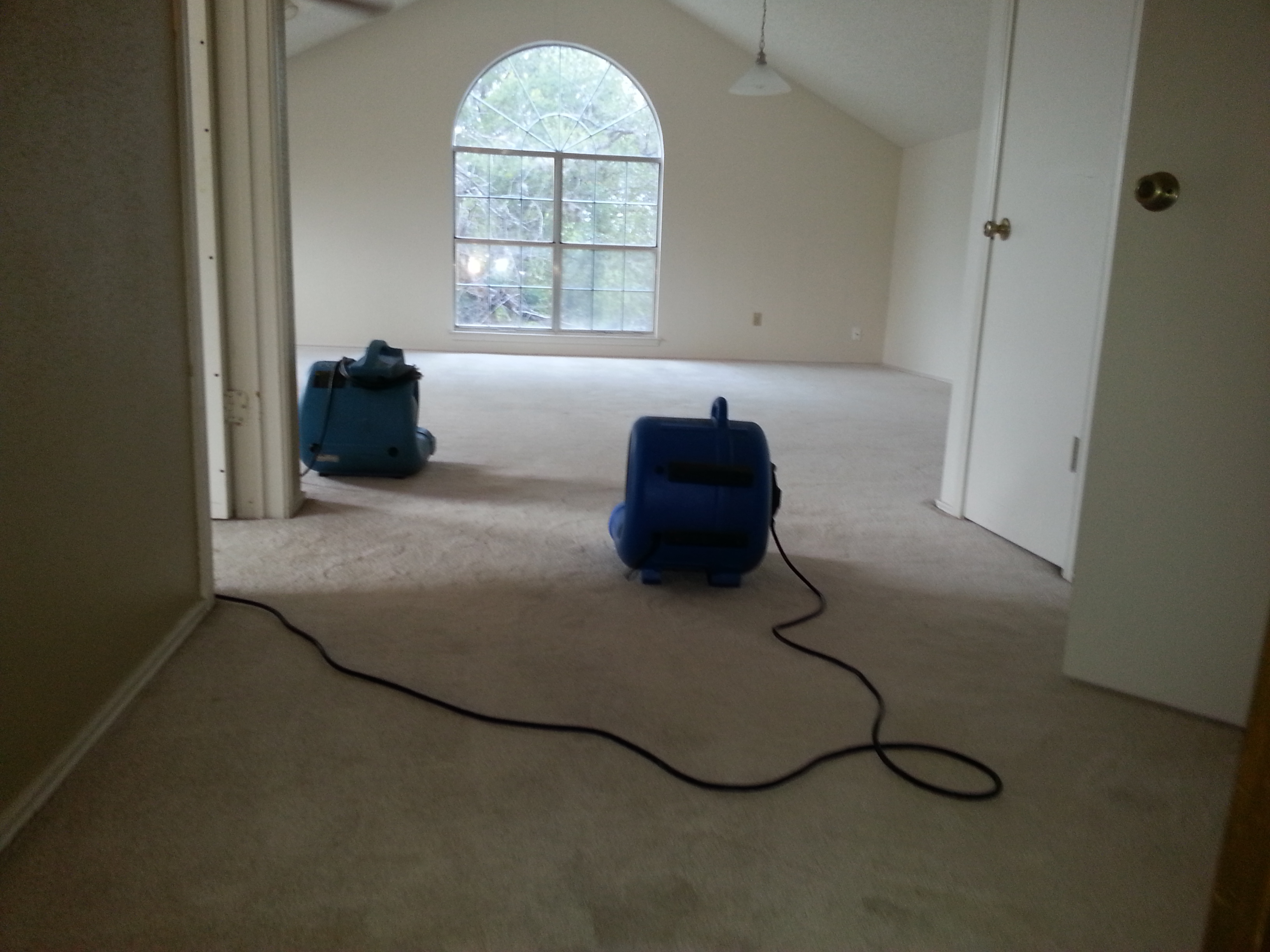Drying Carpet Carpet Cleaning San Antonio