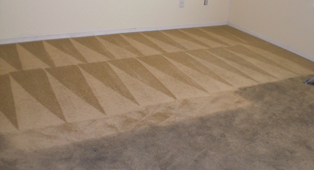 Carpet Before After Best Carpet Cleaning San Antonio