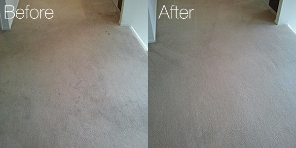 Before and After Carpet Cleaning Best Carpet Cleaning San Antonio