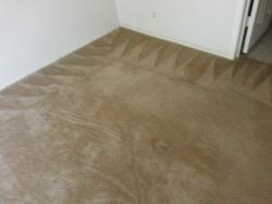 Room Clean Carpet Cleaning San Antonio