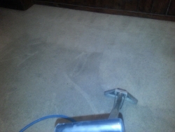 Clean Difference Carpet Cleaning San Antonio