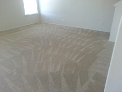 Clean Carpet Room Carpet Cleaning San Antonio