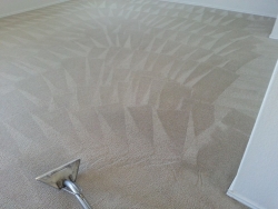 Clean Carpet  Room Best Carpet Cleaning San Antonio