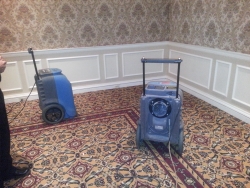 Dry Commercial Carpet Carpet Cleaning San Antonio