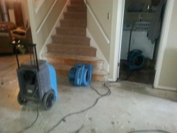 Water On Carpet Water Flood Damage San Antonio