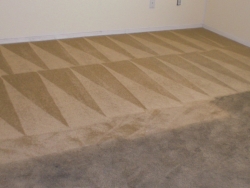 Carpet Before After Best Carpet Cleaning San Antonio