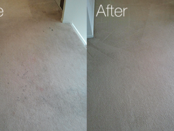 Before and After Carpet Cleaning Best Carpet Cleaning San Antonio