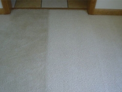 Before and After Carpet Cleaned San Antonio Carpet Cleaning