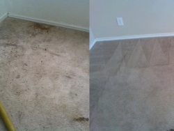 Room Before After Clean Carpet Cleaning San Antonio