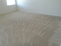 Master Bedroom Clean Carpet Cleaning San Antonio