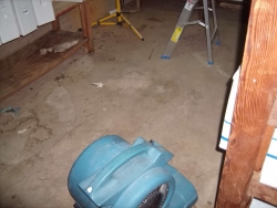 Water Damage Services San Antonio