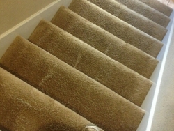 Stairs Clean Carpet Cleaning San Antonio