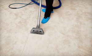 About Best Carpet Cleaning Experts