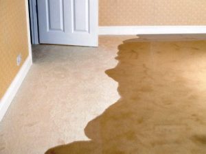 Water Damage Service San Antonio, TX by Best Carpet Cleaning Experts