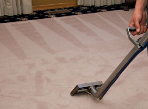 carpet-cleaning-expert