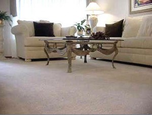 carpet-cleaning-services