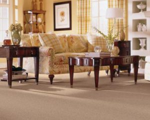 Residential Carpet Cleaning San Antonio