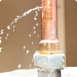 Water Leak Water Damage Restoration