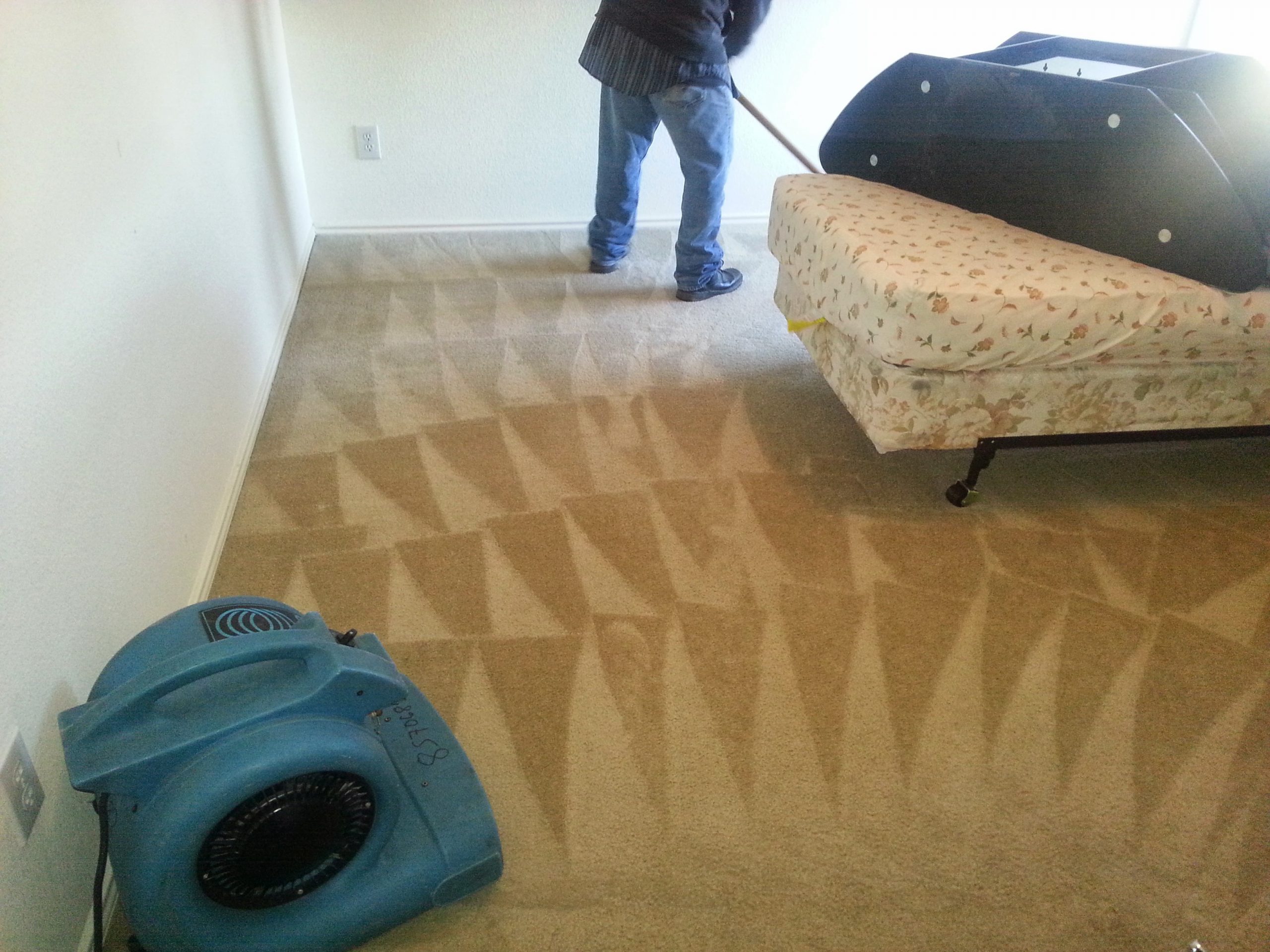 Best Carpet Cleaning Experts, We Know Carpet Cleaning - San Antonio, TX