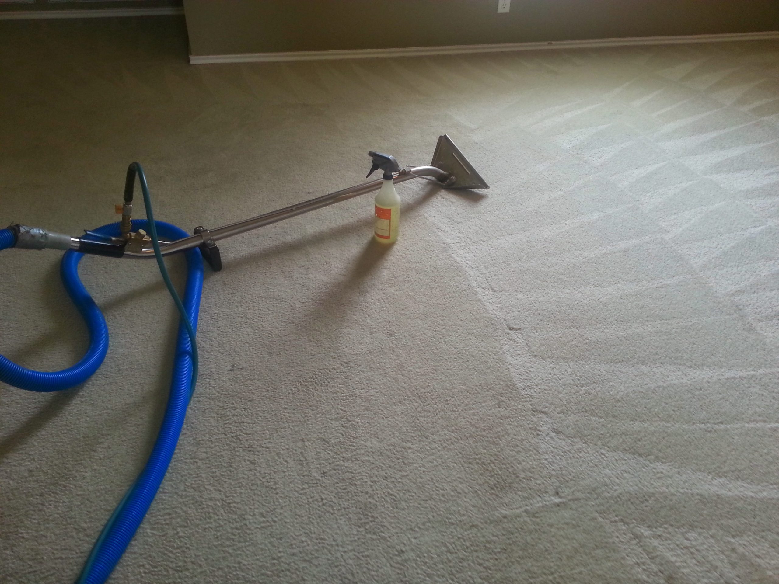 Using The Pros for San Antonio Carpet Cleaning San Antonio, TX