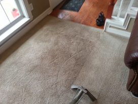 Family Owned Carpet Cleaning Company