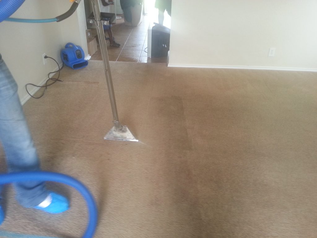 Getting Your Carpets Cleaned by The Best San Antonio, TX
