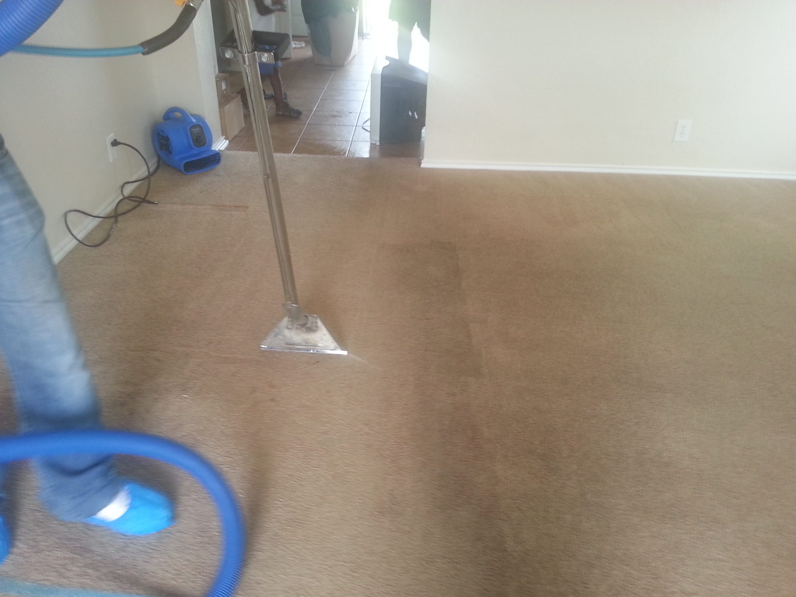 Getting Your Carpets Cleaned by The Best San Antonio, TX