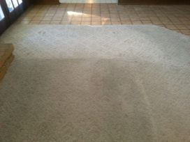 Carpet Cleaning San Antonio