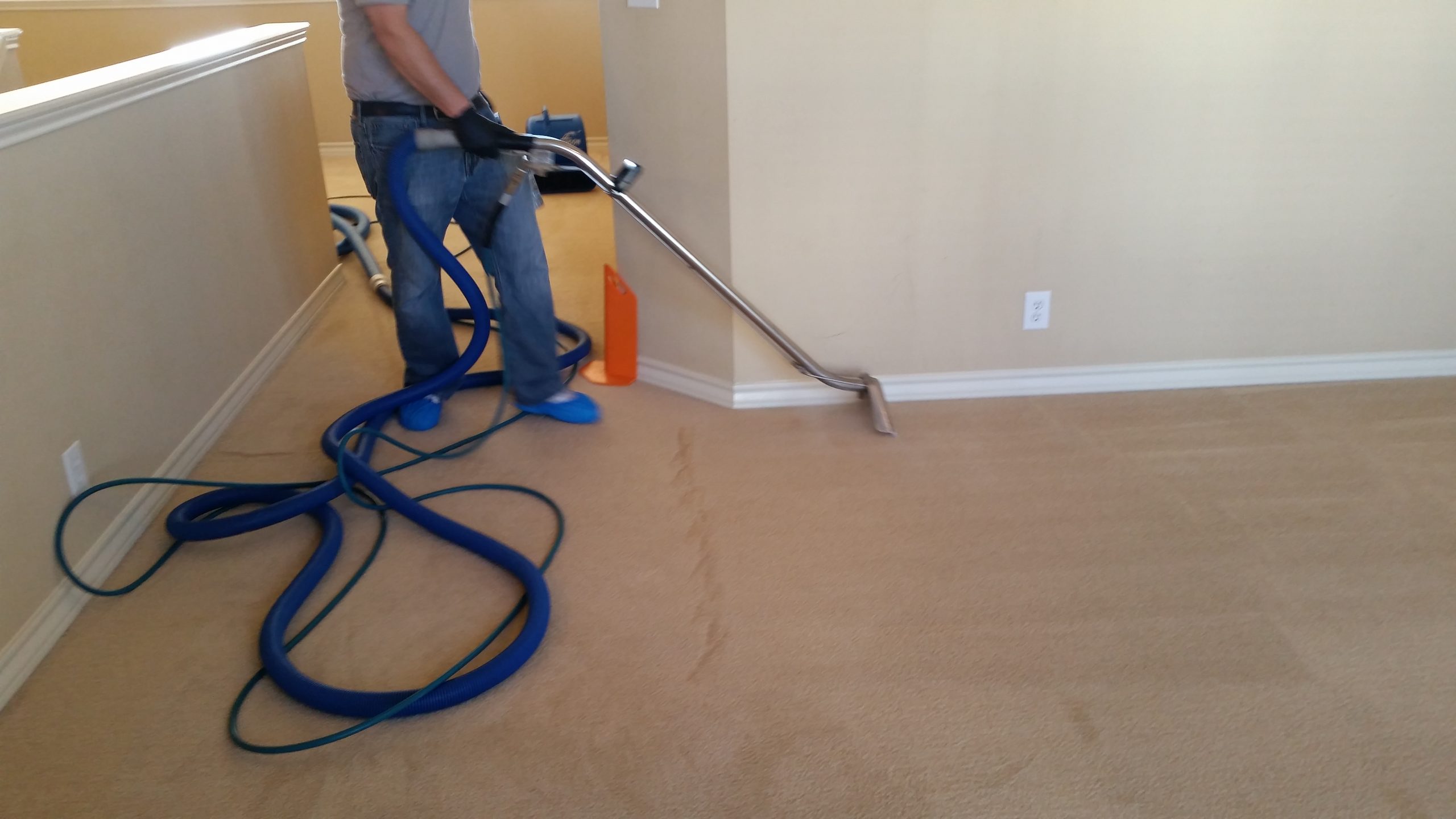 Safe For Your Family Carpet cleaning San Antonio San Antonio, TX