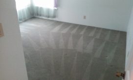 call the pros Best Carpet Cleaning Experts to clean your carpets
