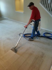 pet stain removal in san antonio