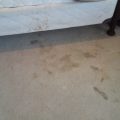 carpet steam cleaning san antonio