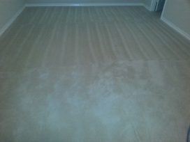 carpet cleanign san antonio