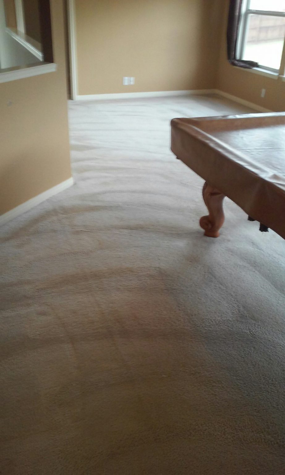 Use the Best Carpet Cleaning San Antonio Has to Offer San Antonio, TX