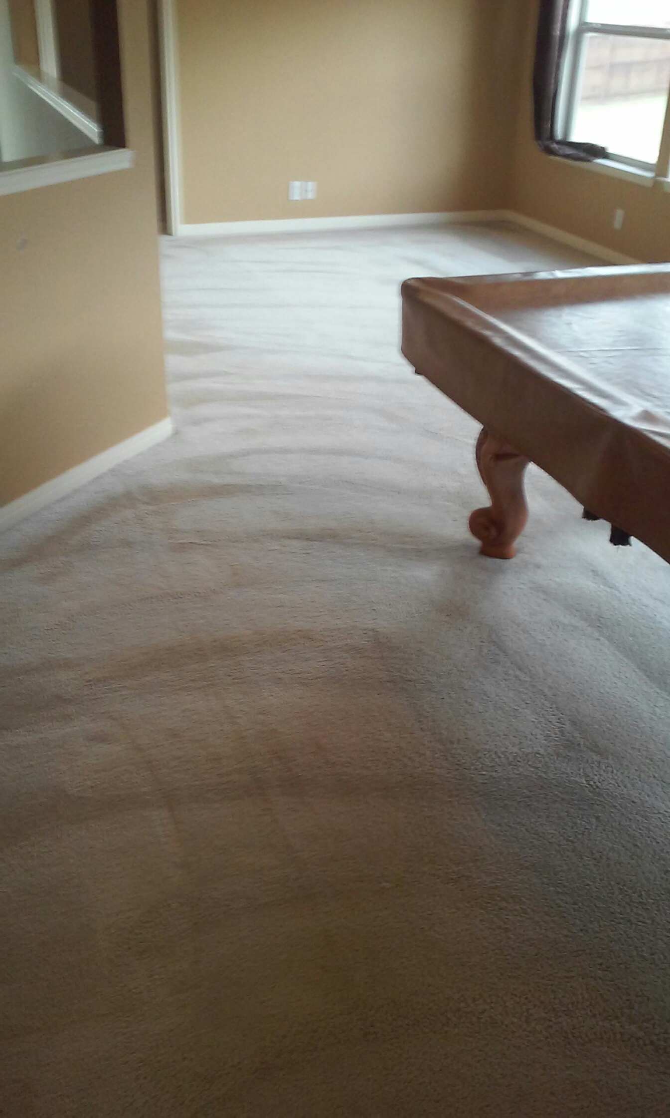 Use the Best Carpet Cleaning San Antonio Has to Offer San Antonio, TX