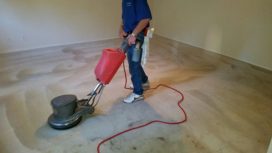 pet stain removal in san antonio