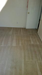 carpet cleaning olmos park