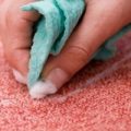 tips from the pros carpet cleaning san antonio