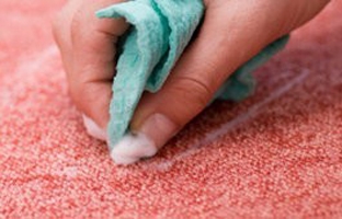 tips from the pros carpet cleaning san antonio