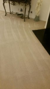 choose best in carpet cleaning san antonio