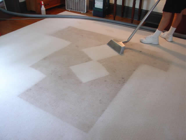 carpet cleaning san antonio