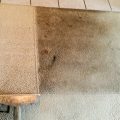 5 things hidden in your carpet, best carpet cleaning san antonio