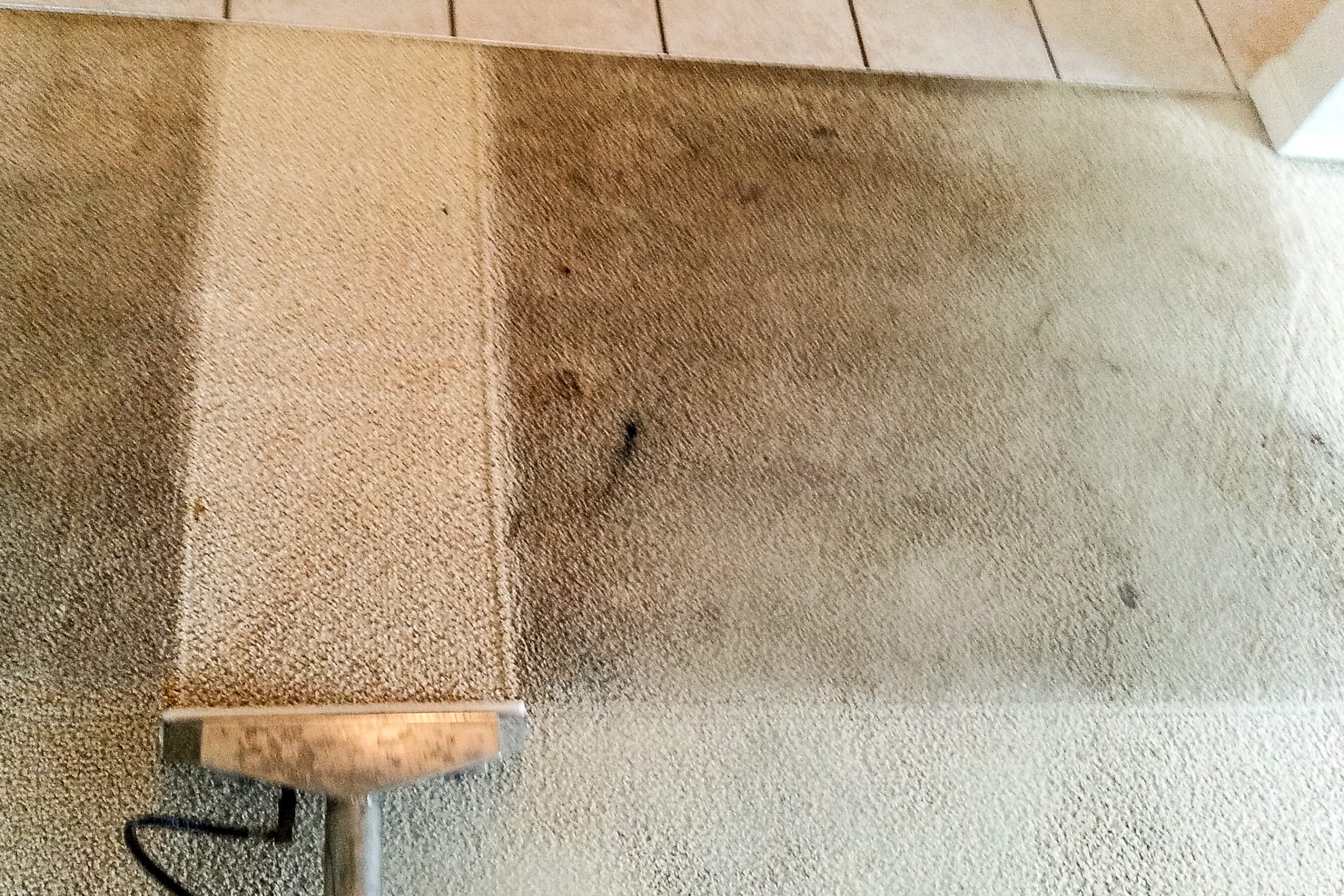 Top 5 Things Hidden in Your Carpets that You Don't Know About San