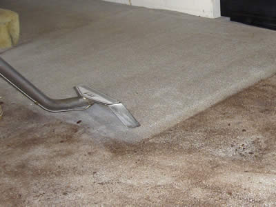 san antonio carpet cleaning in your home