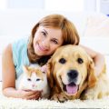 The Best Pet Urine Removal San Antonio, Call Best Carpet Cleaning Experts